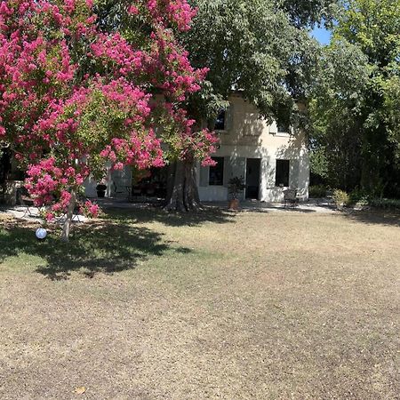 Alpilles Camargue Mas Falabrego Raphèle 외부 사진