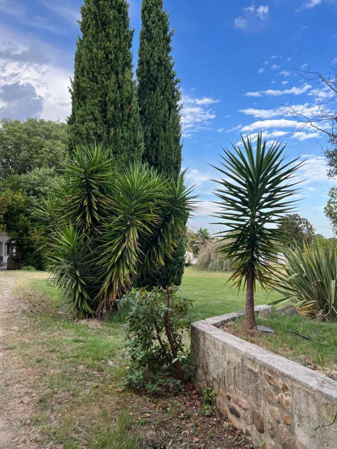 Alpilles Camargue Mas Falabrego Raphèle 외부 사진