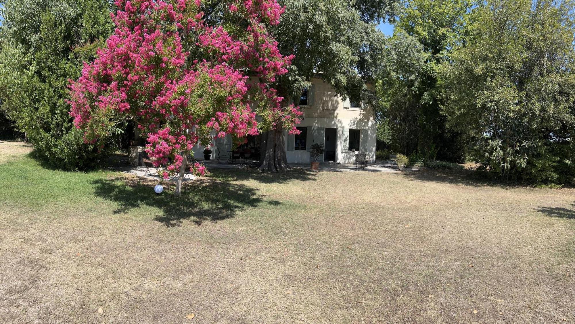 Alpilles Camargue Mas Falabrego Raphèle 외부 사진