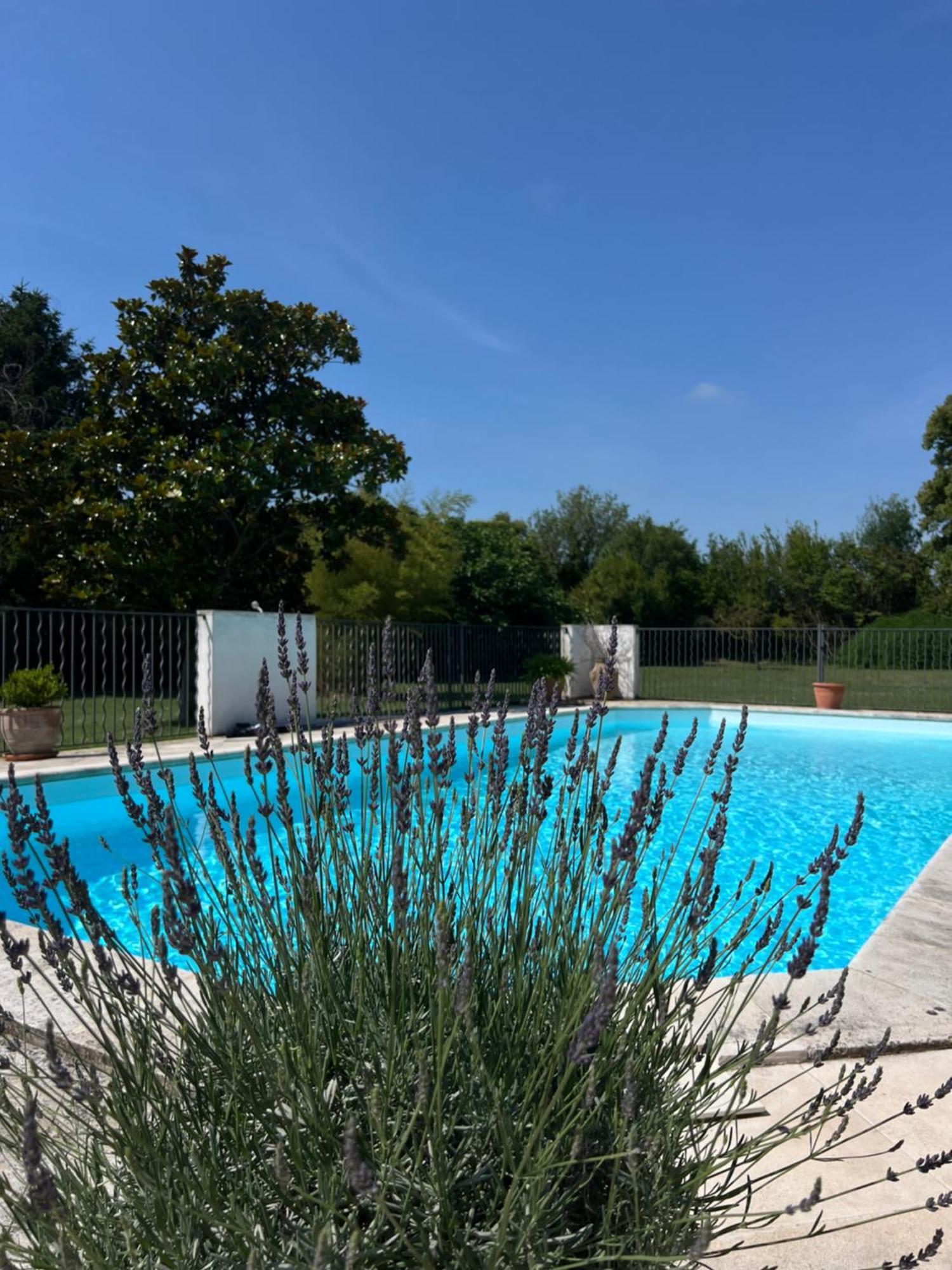 Alpilles Camargue Mas Falabrego Raphèle 외부 사진